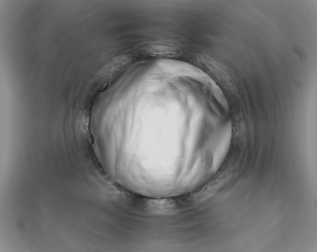 X0000111660281200907311144