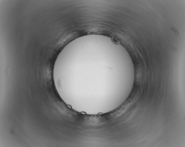 X0000111660282200907311144