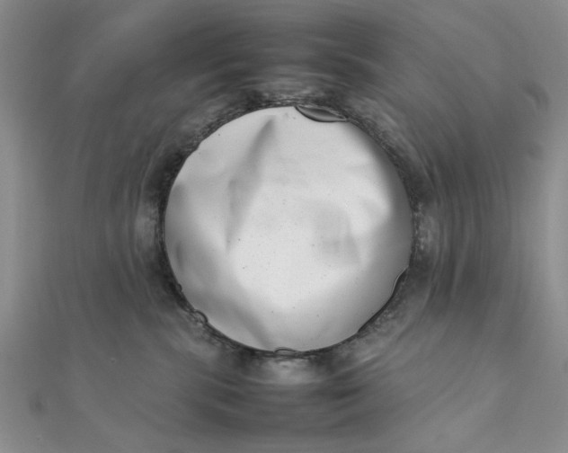 X0000111660283200907311144