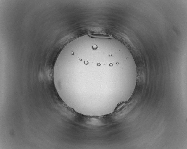 X0000111660285200907311144