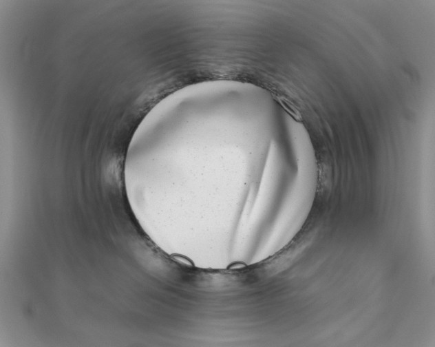 X0000111660286200907311144