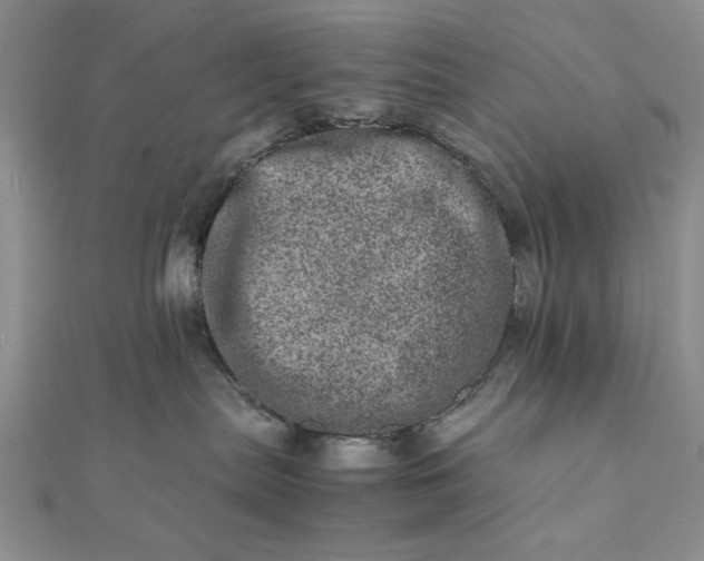 X0000111660287200907311144