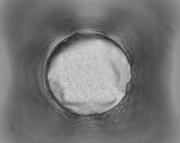 X0000111660289200907311144