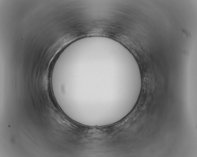 X0000111660290200907311144