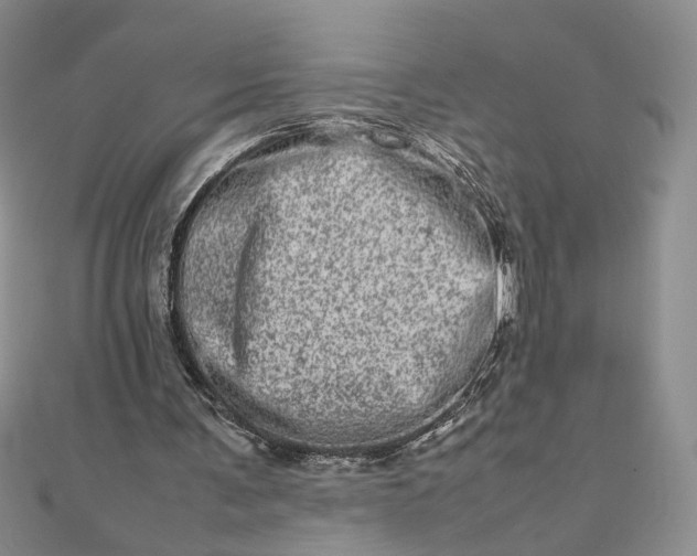 X0000111660291200907311144