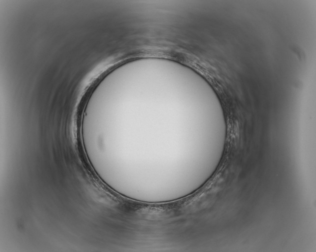 X0000111660294200907311144