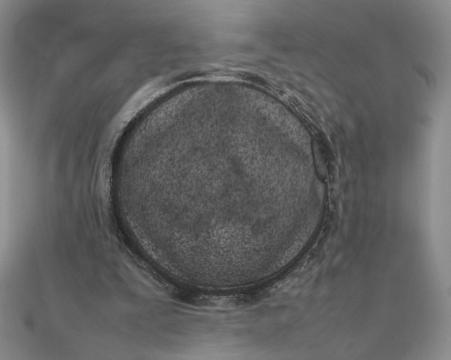 X0000111660295200907311144