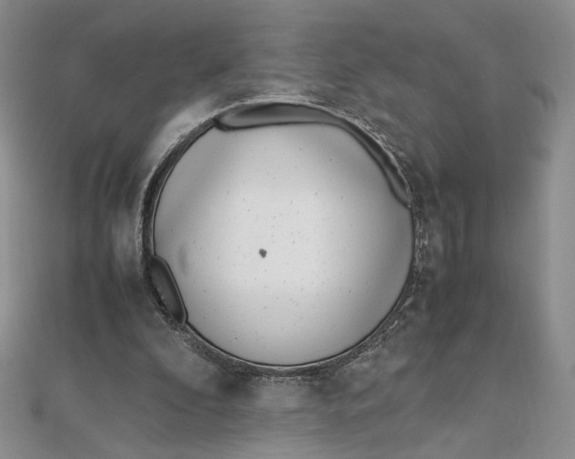 X0000111660296200907311144