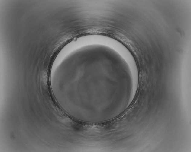 X0000111660297200907311144