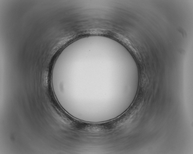 X0000111660299200907311143