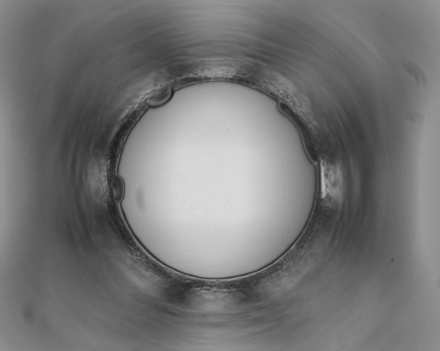 X0000111660300200907311143