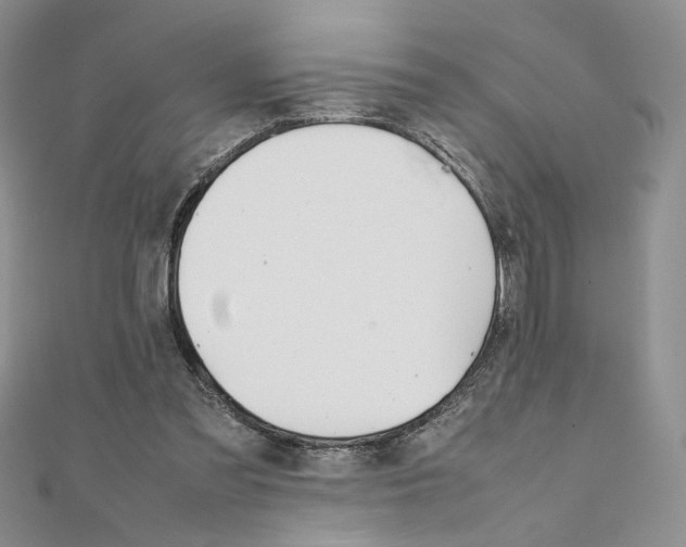 X0000111660301200907311143