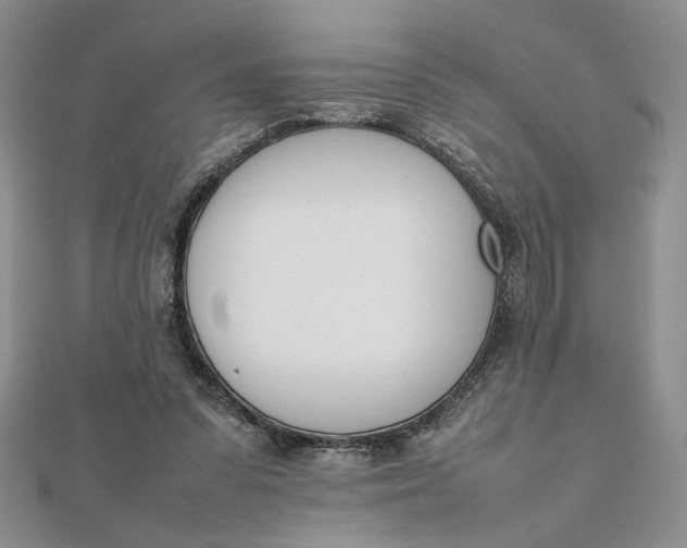 X0000111660303200907311143