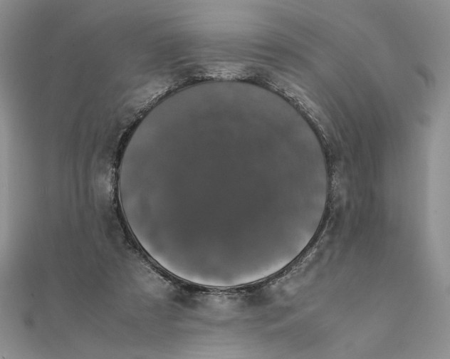 X0000111660305200907311143