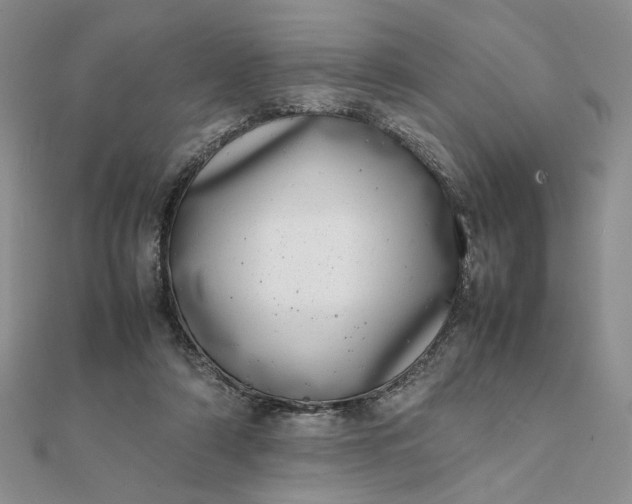 X0000111660306200907311143