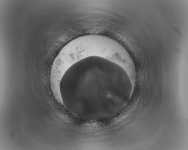 X0000111660307200907311143