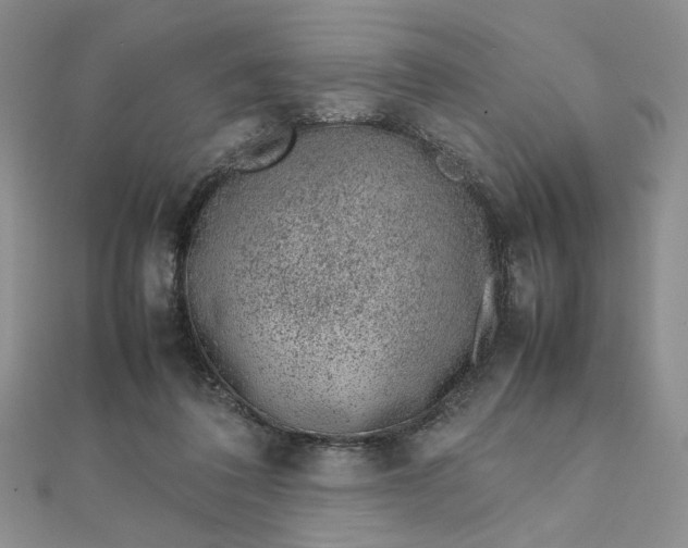 X0000111660308200907311143