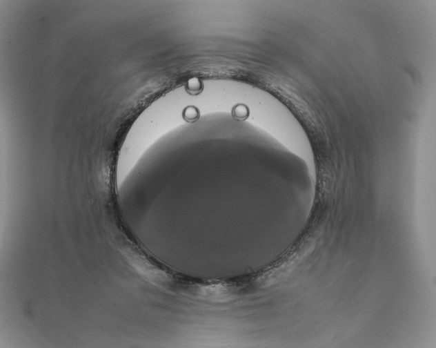 X0000111660309200907311143