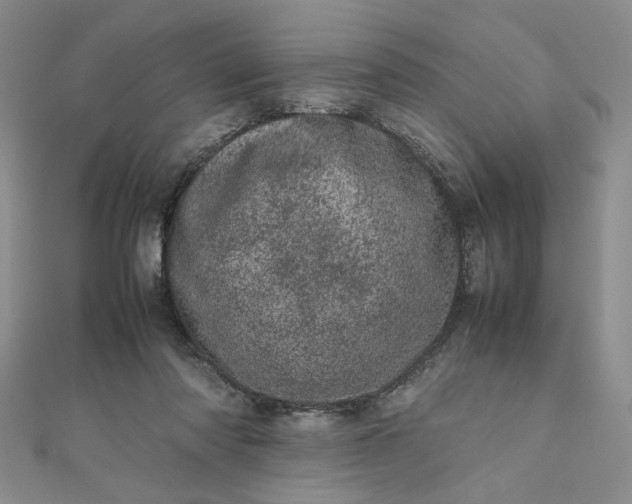 X0000111660310200907311143