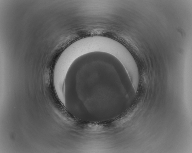 X0000111660311200907311143