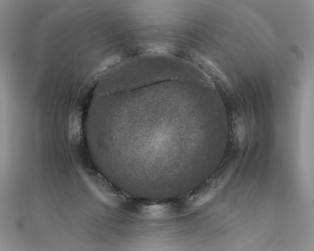 X0000111660312200907311143