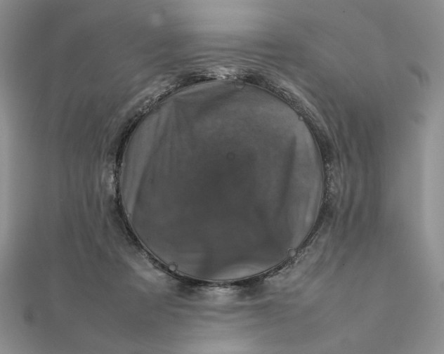 X0000111660313200907311143