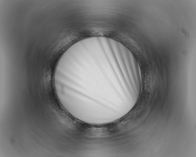 X0000111660314200907311143