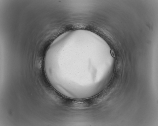 X0000111660315200907311143