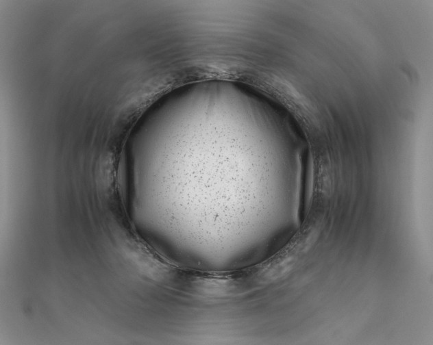 X0000111660318200907311143