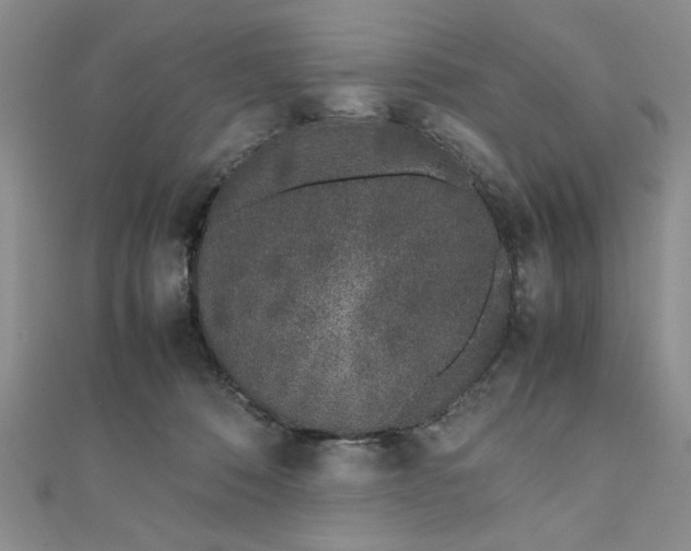 X0000111660320200907311143