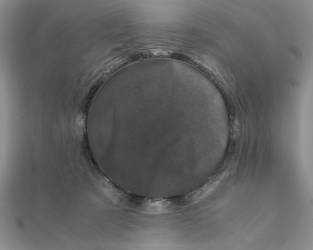 X0000111660321200907311143