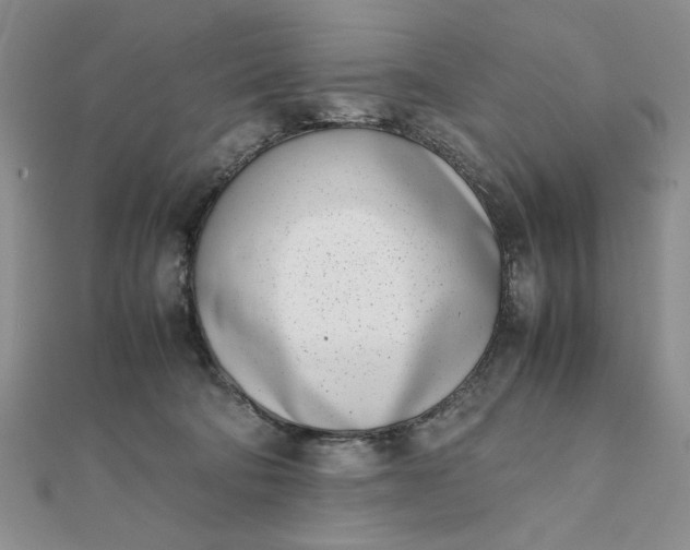 X0000111660322200907311143