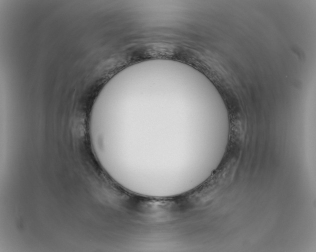 X0000111660323200907311143