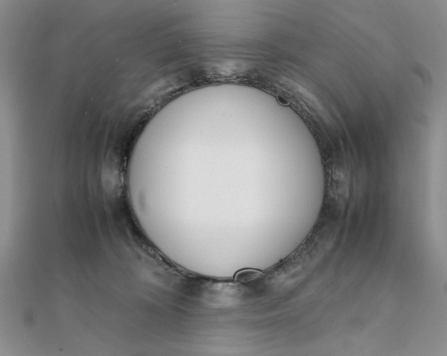 X0000111660324200907311143