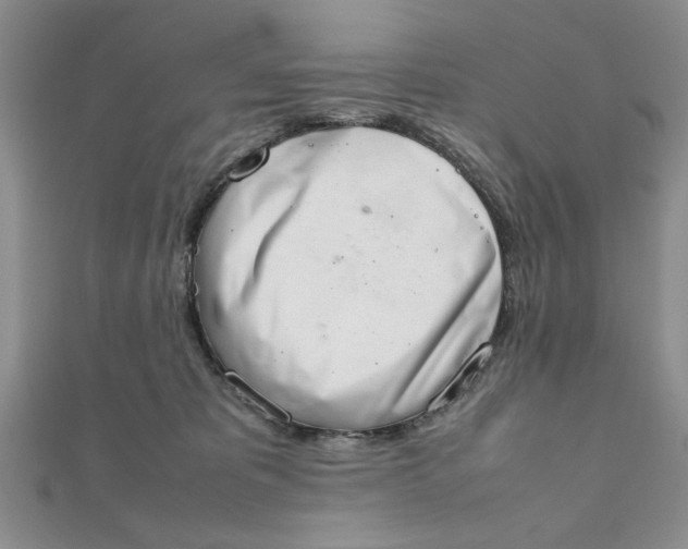 X0000111660325200907311143