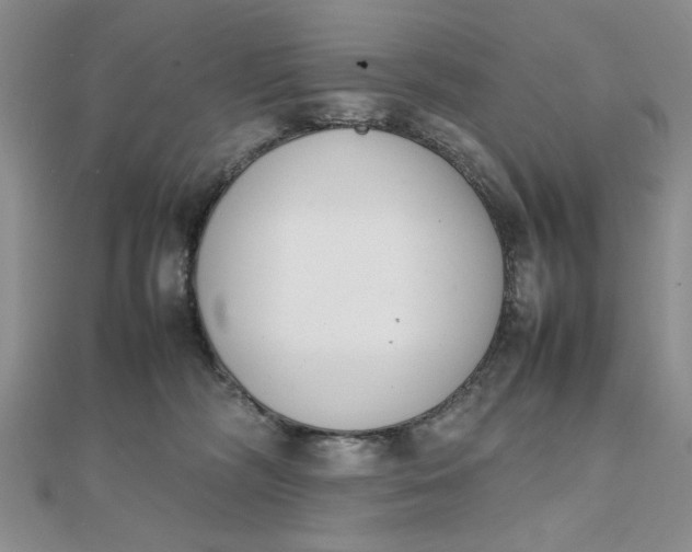 X0000111660326200907311143