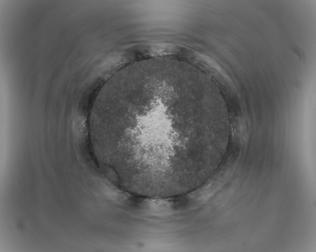 X0000111660327200907311143