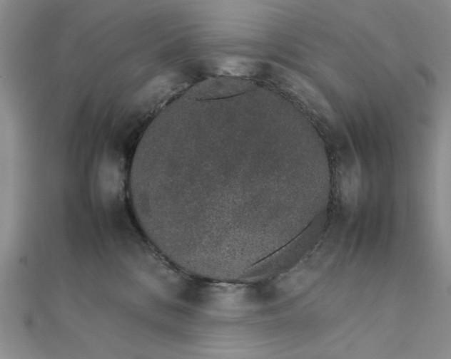 X0000111660328200907311143