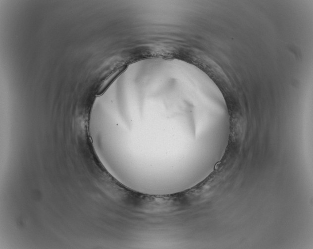 X0000111660329200907311143