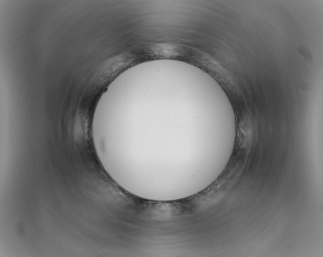 X0000111660330200907311143