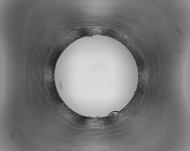 X0000111660331200907311143