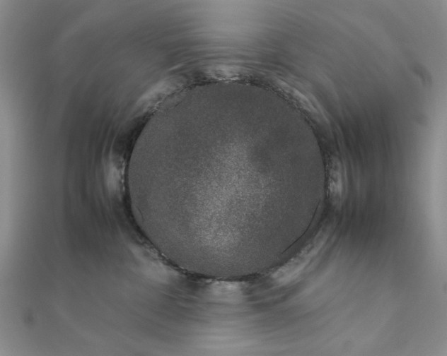 X0000111660332200907311143