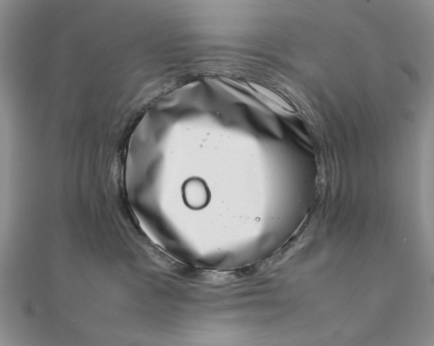 X0000111660333200907311143