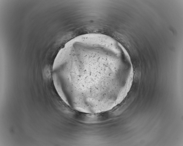 X0000111660335200907311143