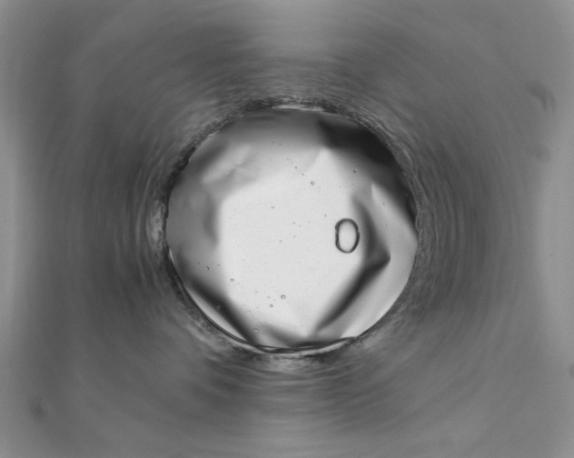 X0000111660336200907311143