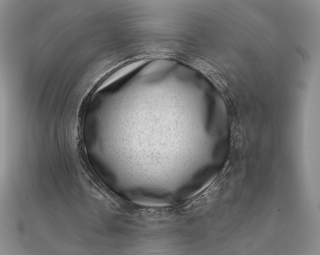 X0000111660338200907311142