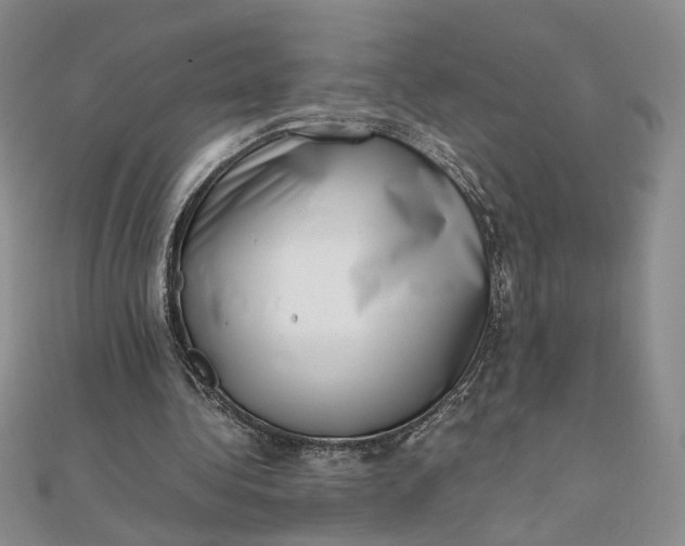 X0000111660340200907311142