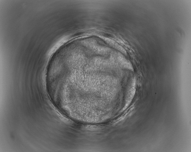 X0000111660341200907311142