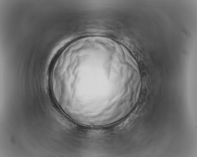 X0000111660342200907311142