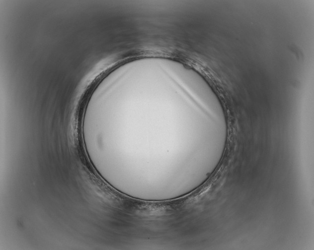 X0000111660343200907311142